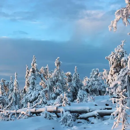Διαμέρισμα Studio Ski Lodge