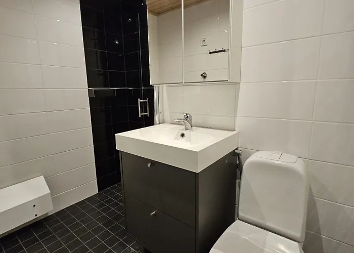 Studio Ski Lodge Ροβανιέμι