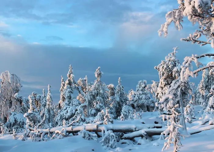 Διαμέρισμα Studio Ski Lodge